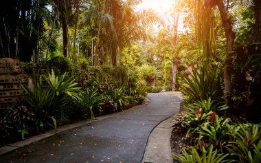Tropikal bahçenin lüks peyzaj tasarımı.