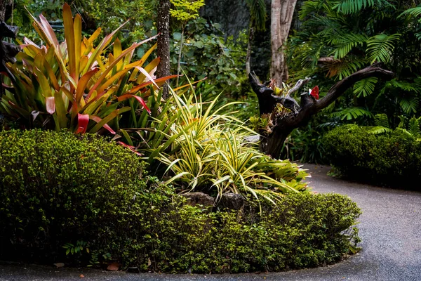 Design Paisagem Luxuosa Jardim Tropical — Fotografia de Stock