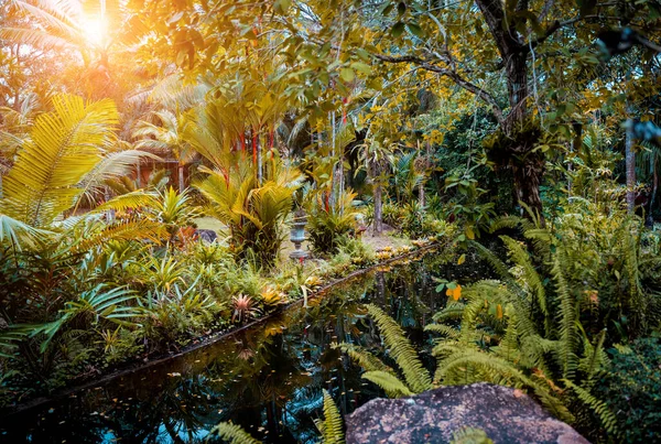 Diseño Paisajístico Lujo Del Jardín Tropical —  Fotos de Stock