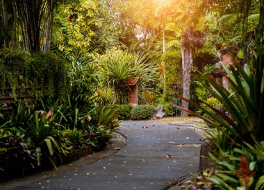 Tropikal bahçenin lüks peyzaj tasarımı.