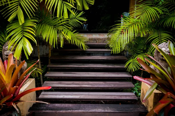 Viejas Escaleras Rústicas Madera Jardín — Foto de Stock