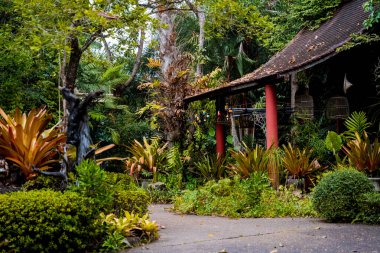 Tropikal bahçenin lüks peyzaj tasarımı.