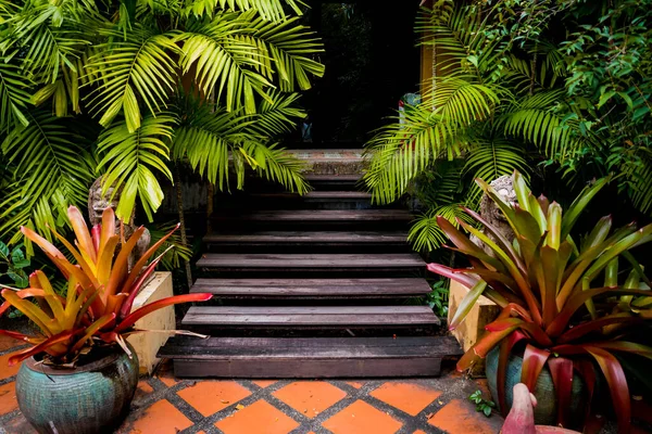 庭の古い素朴な木製の階段 — ストック写真
