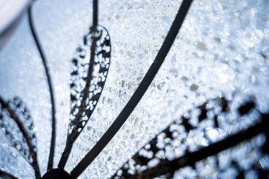 decorative lamps background at the showroom of a large store