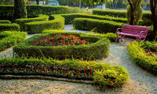 Luxury Landscape Design Tropical Garden — Stock Photo, Image