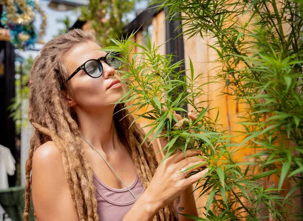 Hippie Styl Žena Rostoucí Lékařské Marihuany Keře — Stock fotografie