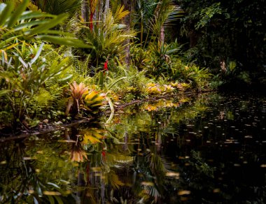 Tropikal bahçenin lüks peyzaj tasarımı.