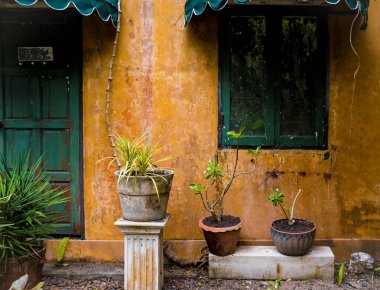 Tropikal bahçenin lüks peyzaj tasarımı.