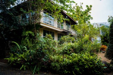 Tropikal bahçenin lüks peyzaj tasarımı.