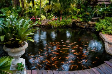 A park with a lake and small red fishes