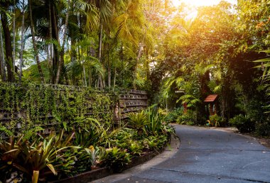 Tropikal bahçenin lüks peyzaj tasarımı.
