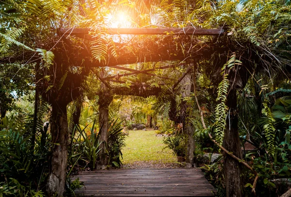 Luxury Landscape Design Tropical Garden — Stock Photo, Image