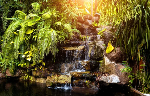 Luxusní Krajinný Design Tropické Zahrady — Stock fotografie