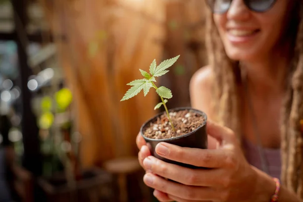Hippie Style Woman Growing Medical Marijuana Bush — Stock Photo, Image