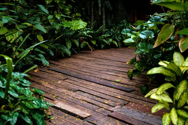 庭の古い素朴な木製の階段 — ストック写真