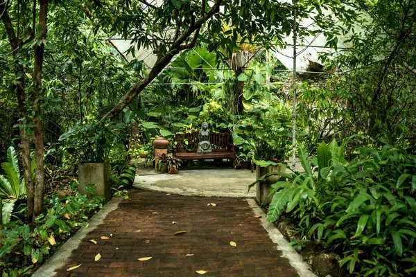 热带花园奢华的景观设计 — 图库照片