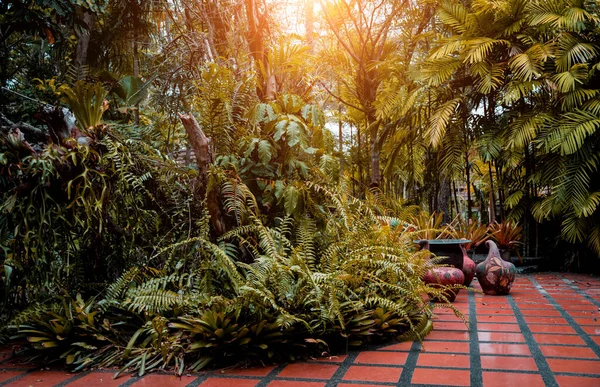 Tropikal Bahçenin Lüks Peyzaj Tasarımı — Stok fotoğraf