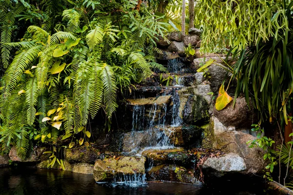 Luksusowy Krajobraz Tropikalnym Ogrodem — Zdjęcie stockowe