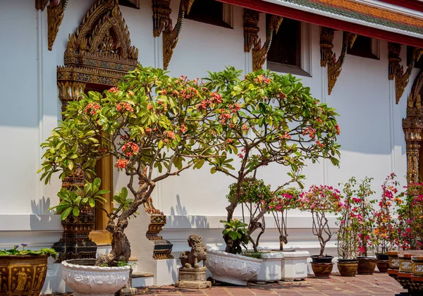 バンコク 2023年8月7日 バンコクの仏教寺院タイ — ストック写真