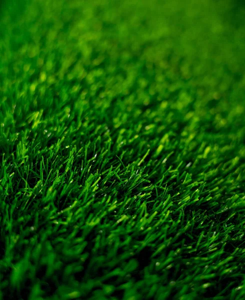 Background Artificial Green Grass Showroom Large Store — Stock Photo, Image
