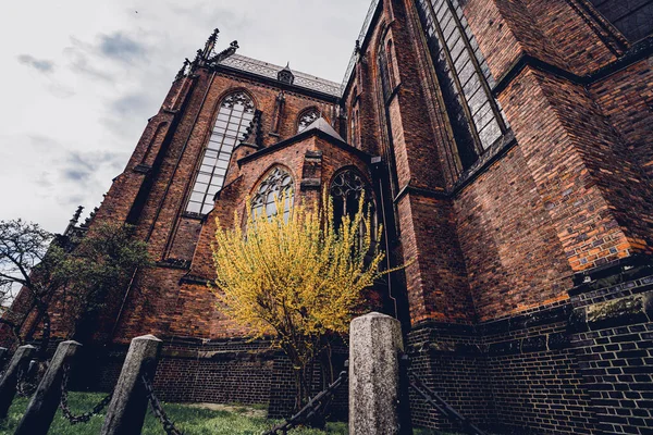 stock image Architectural detail of the olds gothic cathedral in Europe.