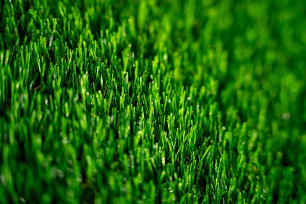 Background Artificial Green Grass Showroom Large Store — Stock Photo, Image