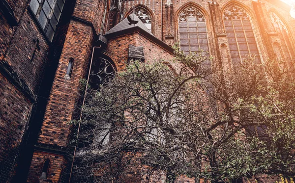 Architectonische Details Van Oude Gotische Kathedraal Europa — Stockfoto