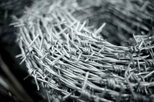 Roll Barbed Wire Showroom Large Store — Stock Photo, Image