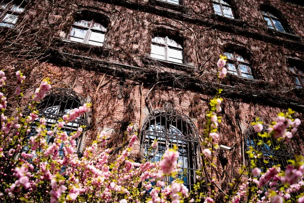 stock image Facade of a old european historical building with vintage windows and doors.