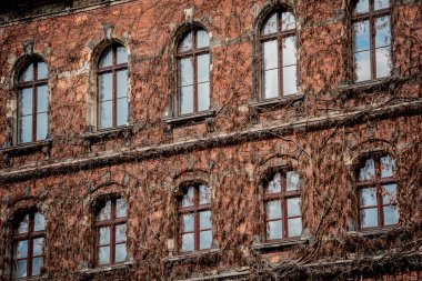 Klasik pencere ve kapıları olan eski bir Avrupa tarihi binasının cephesi.