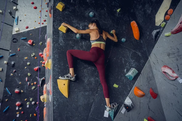 Μια Ισχυρή Γυναίκα Ορειβάτης Σκαρφαλώνει Έναν Τεχνητό Τοίχο Πολύχρωμες Λαβές — Φωτογραφία Αρχείου