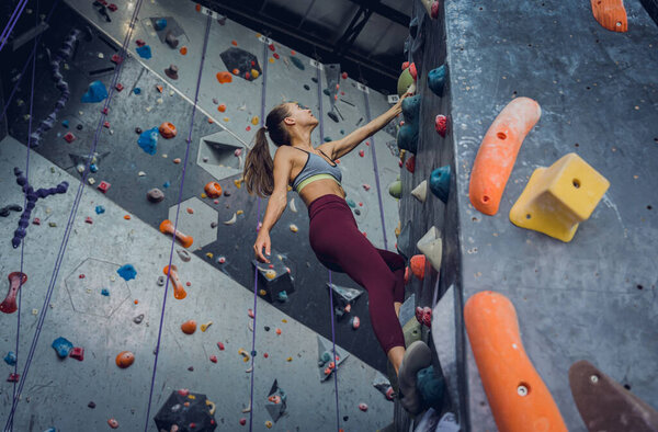 A strong female climber climbs an artificial wall with colorful grips and ropes