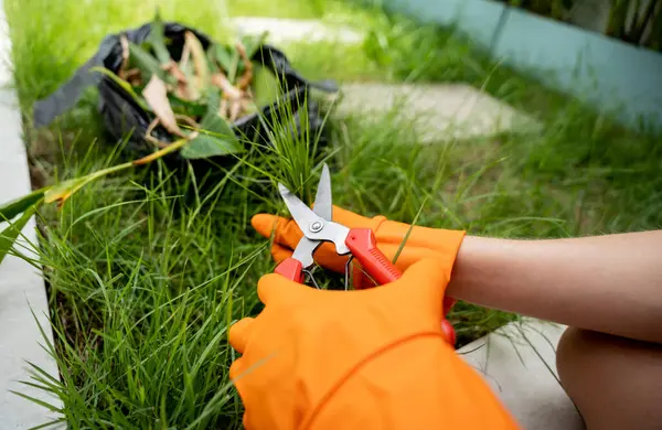 若い女性が庭の世話をし 草を切る — ストック写真