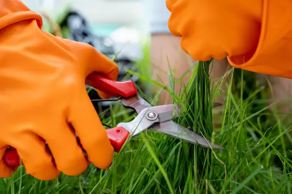 若い女性が庭の世話をし 草を切る — ストック写真