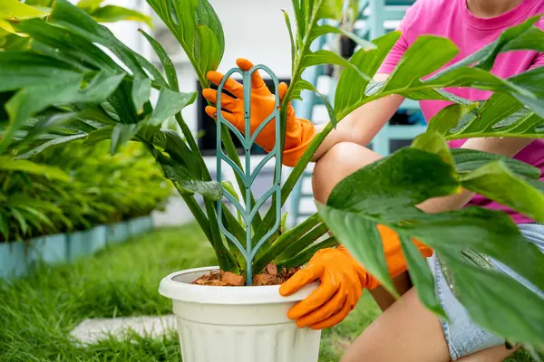 Ung Kvinna Tar Hand Trädgården Och Binder Upp Växter — Stockfoto