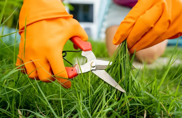 Young Woman Takes Care Garden Cutting Grass — Stock Photo, Image