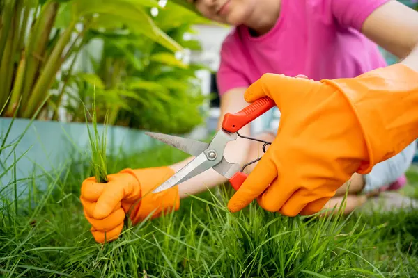 Young Woman Takes Care Garden Cutting Grass — Stock Photo, Image