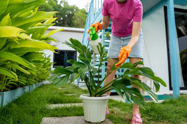 Young Woman Takes Care Garden Waters Fertilizes Prunes Plants — Stock Photo, Image