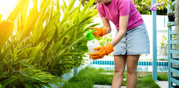 Eine Junge Frau Kümmert Sich Den Garten Wässert Düngt Und — Stockfoto
