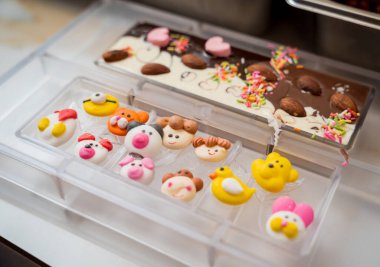 Atölyede el yapımı çikolata ve şeker yapmak için gerekli malzemeler..