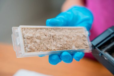 Genç bir kadın temizlik yaptıktan sonra robot elektrik süpürgesini pislikten temizliyor.