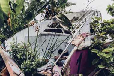 Tropikal ormanlarla çevrili eski ve paslı motorlu tekneler..