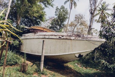 Tropikal ormanlarla çevrili eski ve paslı motorlu tekneler..