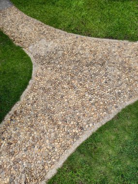 Yemyeşil çimlerin arasında yeşil yapraklı taş yürüme yolu.