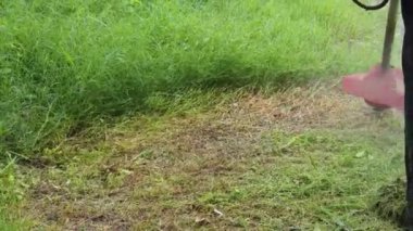 Düzenli bir manzara yaratmak için gün ışığında çim biçen kişi.