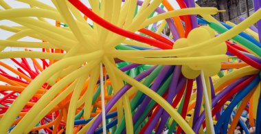 Bir grup canlı balon birbirine bağlıdır..