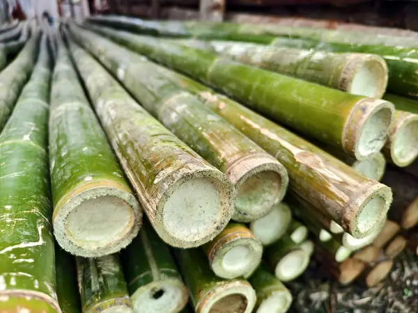 stock image A collection of green bamboo rods piled one on top of another in a stack.