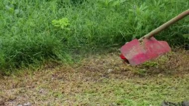 Düzenli bir manzara yaratmak için gün ışığında çim biçen kişi.