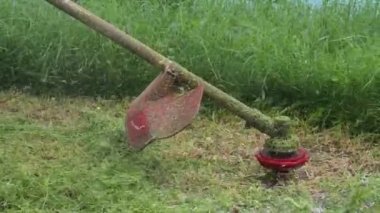 Düzenli bir manzara yaratmak için gün ışığında çim biçen kişi.