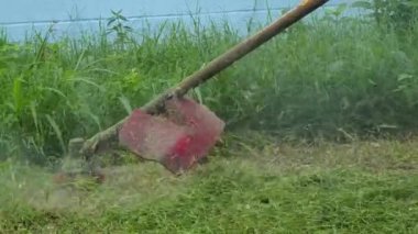 Düzenli bir manzara yaratmak için gün ışığında çim biçen kişi.